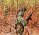 11 Maoists killed in encounter takes place at Chhattisgarh and Telangana border