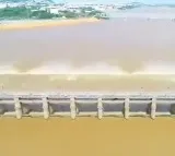Brijesh Tribunal decesion on Krishna water