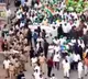 Chandrababu Participates in Green Walk, Lays Foundation for Sewage Project