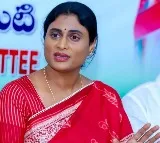 Vizag Steel Plant Needs Real Solutions, Not Temporary Packages: YS Sharmila