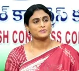 Jagan Is Your Foster Son… Agent of ‘Modani’: Sharmila Fires at Amit Shah