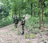 14 Suspected Maoists killed during joint operation by Odisha and Chhattisgarh police