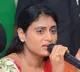 Sharmila's Bold Accusation: Chandrababu Afraid to Act Against Adani