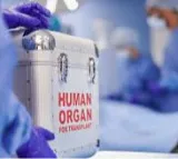 Telangana govt hands over Hyderabad kidney racket case to CID