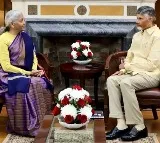 Chandrababu Meets Union Finance Minister Nirmala Sitharaman