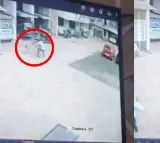 Toddler Falls from 13th Floor, Man Saves Her Life with Quick Thinking—Viral Video!