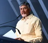 Chandrababu Naidu to Campaign in Delhi Elections: Date Finalized