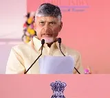 CM Chandrababu orders to enquiry on Peddireddy family alleged land encroachment