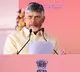 CM Chandrababu Orders Inquiry into Land Encroachment Allegations Against Peddireddy Ramachandra Reddy
