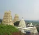 Devotees Spot Leopard in Tirumala, TTD Issues Caution