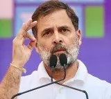 Rahul Gandhi Criticizes Union Budget 2025