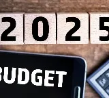 Budget Allocates Rs 1024 Crore For Ministers Salaries