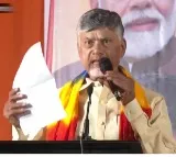 Chandrababu Campaigns for BJP Candidates in Delhi, Criticizes AAP Government