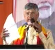 Chandrababu arrives Delhi to campaign for BJP candidates