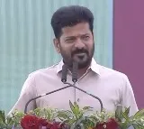 BC Reservations and SC Classification: CM Revanth Reddy Makes Key Announcement in Assembly