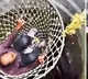 56-Year-Old Woman Saves Husband Who Fell into 40-Foot Well with Presence of Mind