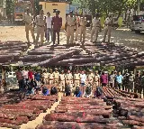 Conservation of red sanders is of paramount importance: Pawan Kalyan