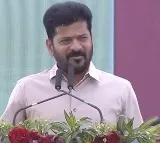 CM Revanth Reddy comments on cabinet reshuffle