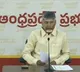 AP CM Chandrababu press meet on Delhi results