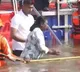 President Droupadi Murmu Takes Holy Dip at Triveni Sangam