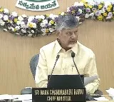 Thousands of Pending Files in Various Departments: AP CM Chandrababu Expresses Displeasure