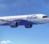 IndiGo Offers 50% Discount on Flight Tickets for Valentine’s Day