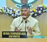 Chandrababu Naidu Holds Review Meeting on Bird Flu Outbreak in Andhra Pradesh