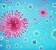 Wuhan Lab Did Not Create or Leak COVID-19: China