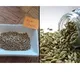 What happens when you consume ajwain and saunf tea before bedtime