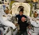Sunita Williams, Butch Willmore to return to Earth from space on March 19
