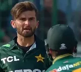 Shaheen Afridi Big Admission On Altercation With South Africa Star