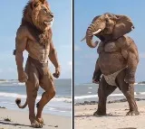 If Animals could walk like human