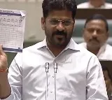 Revanth Reddy meets Rahul Gandhi