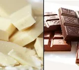 milk chocolate or dark chocolate which is better for kids