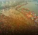 Akhilesh Yadav Seeks Maha Kumbh Extension As Millions More Plan To Visit Prayagraj