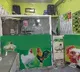 Bird Flu Impact: Chicken Centres Deserted on Sunday