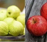 guava vs apple which one is healthier and why