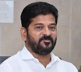 Revanth Reddy Emphasizes Strict Water Management for Crops