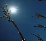 kashmir may see drought as jan feb record 80 pc precipitation deficit met