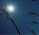kashmir may see drought as jan feb record 80 pc precipitation deficit met
