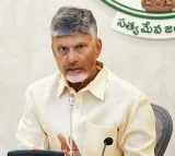 CM Chandrababu Letter to Union Minister For AP Chilli Farmers