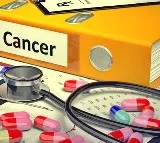 Indian scientists find common biomarkers for early diagnosis of pancreatic, glioma cancers