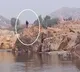 Hyderabad Doctor Goes Missing in Tungabhadra River During Hampi Trip