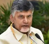 Chandrababu promises to mirchi farmers
