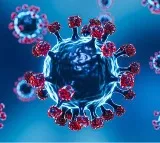 chinese team finds new bat coronavirus