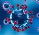 chinese team finds new bat coronavirus