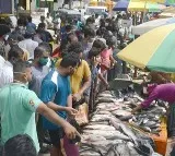Unprecedented Demand for Fish—Here’s Why!