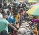 Unprecedented Demand for Fish—Here’s Why!