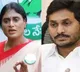 "Did You Come With 11 MLAs Just for 11 Minutes?": YS Sharmila Criticizes Jagan