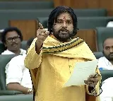Pawan Kalyan fires on YCP members in Assembly